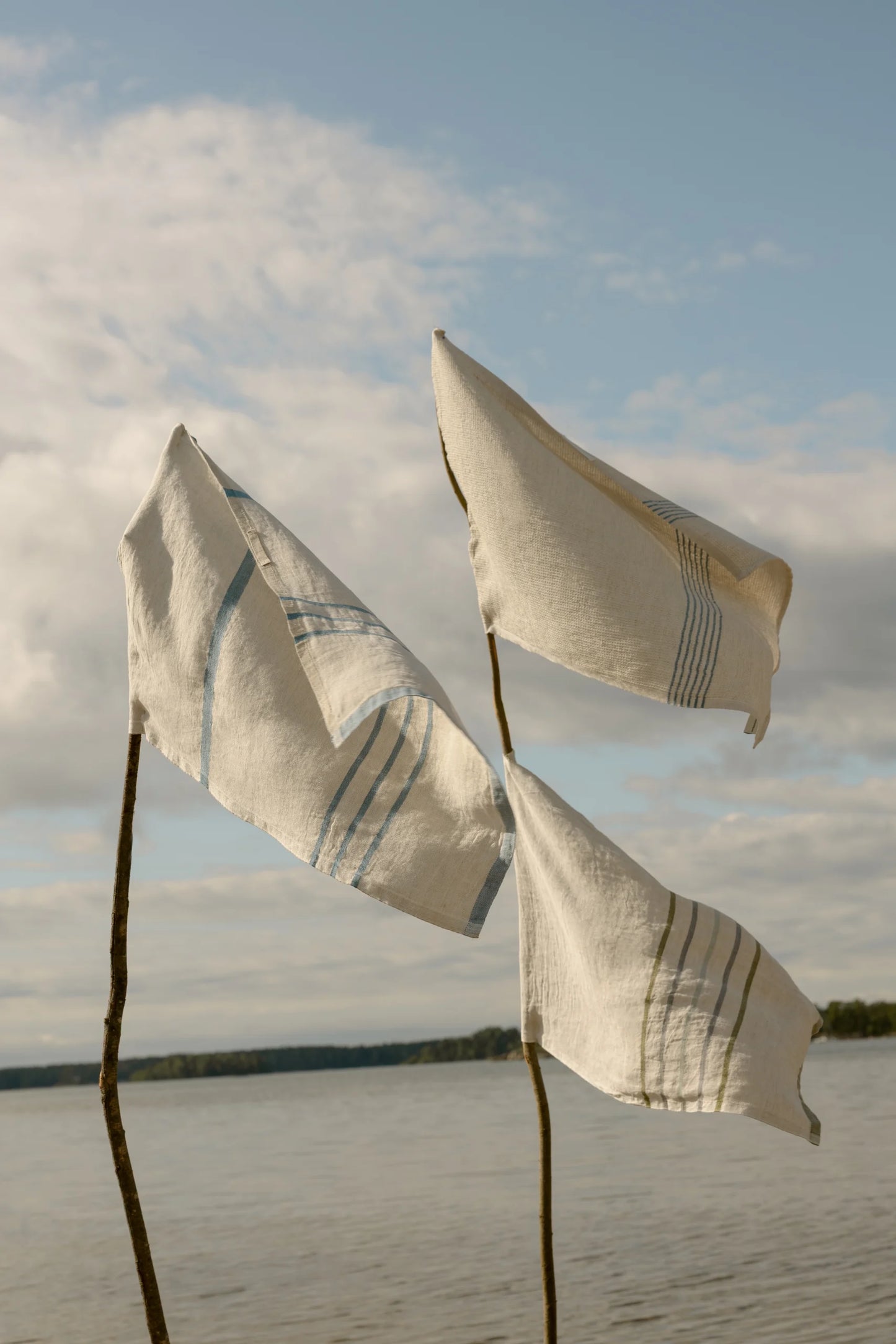 VIRTA Hör Viskastykki - 2 litir