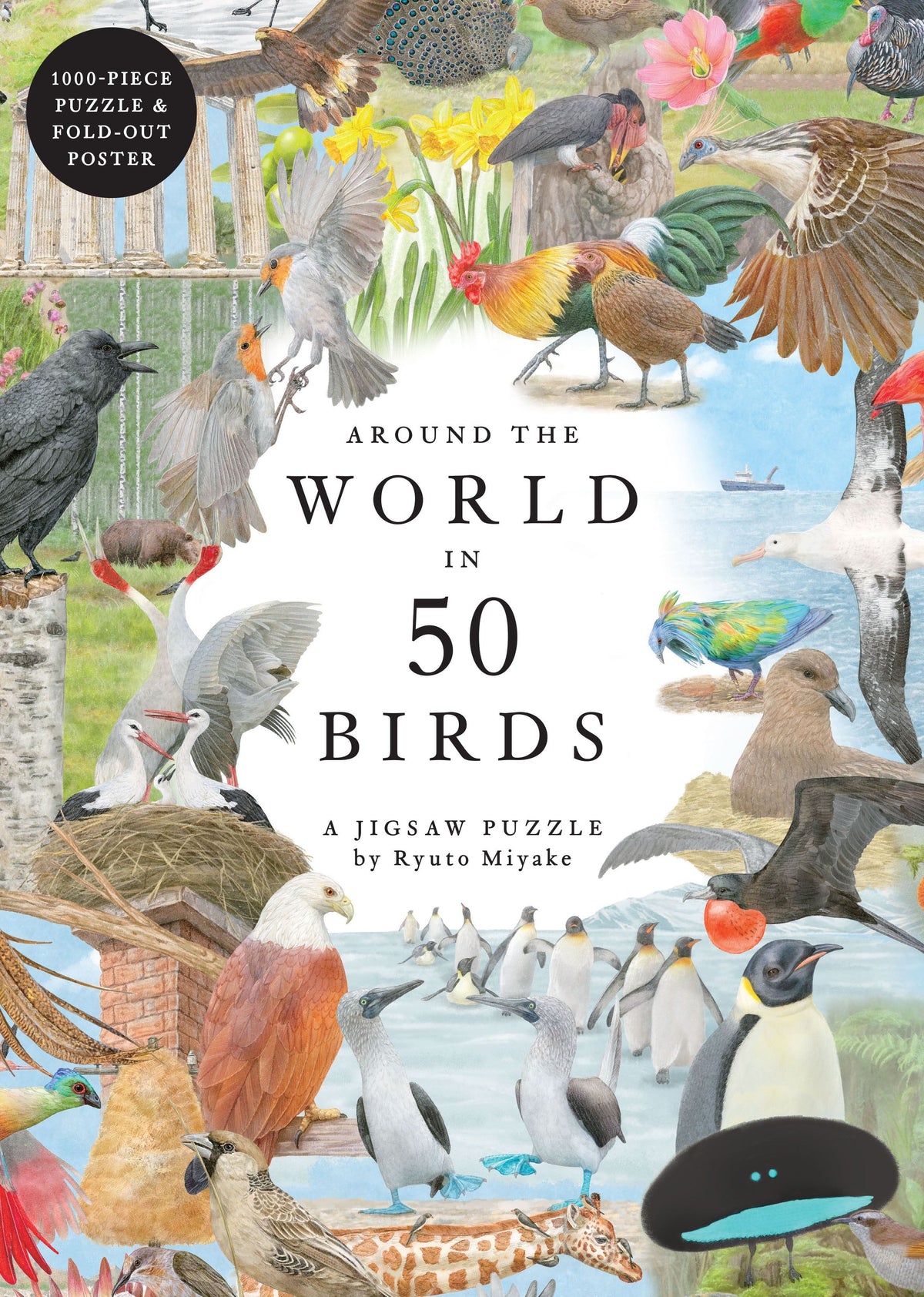 Púsl 1000 stk Around the world in 50 birds