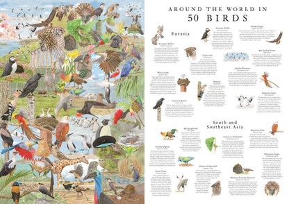 Púsl 1000 stk Around the world in 50 birds